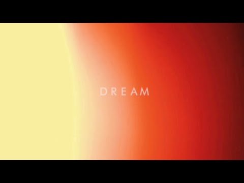 DREAM, FISH AND SCALE