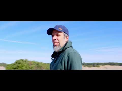 Llorar, Anima (Siete Razones)