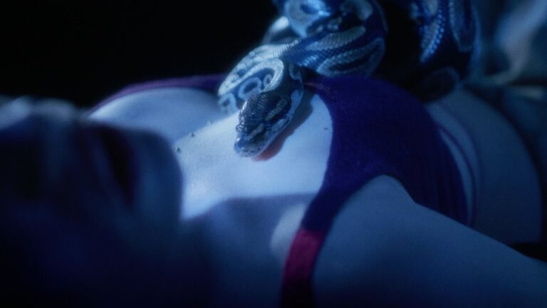 SERPENT, BB PUMA